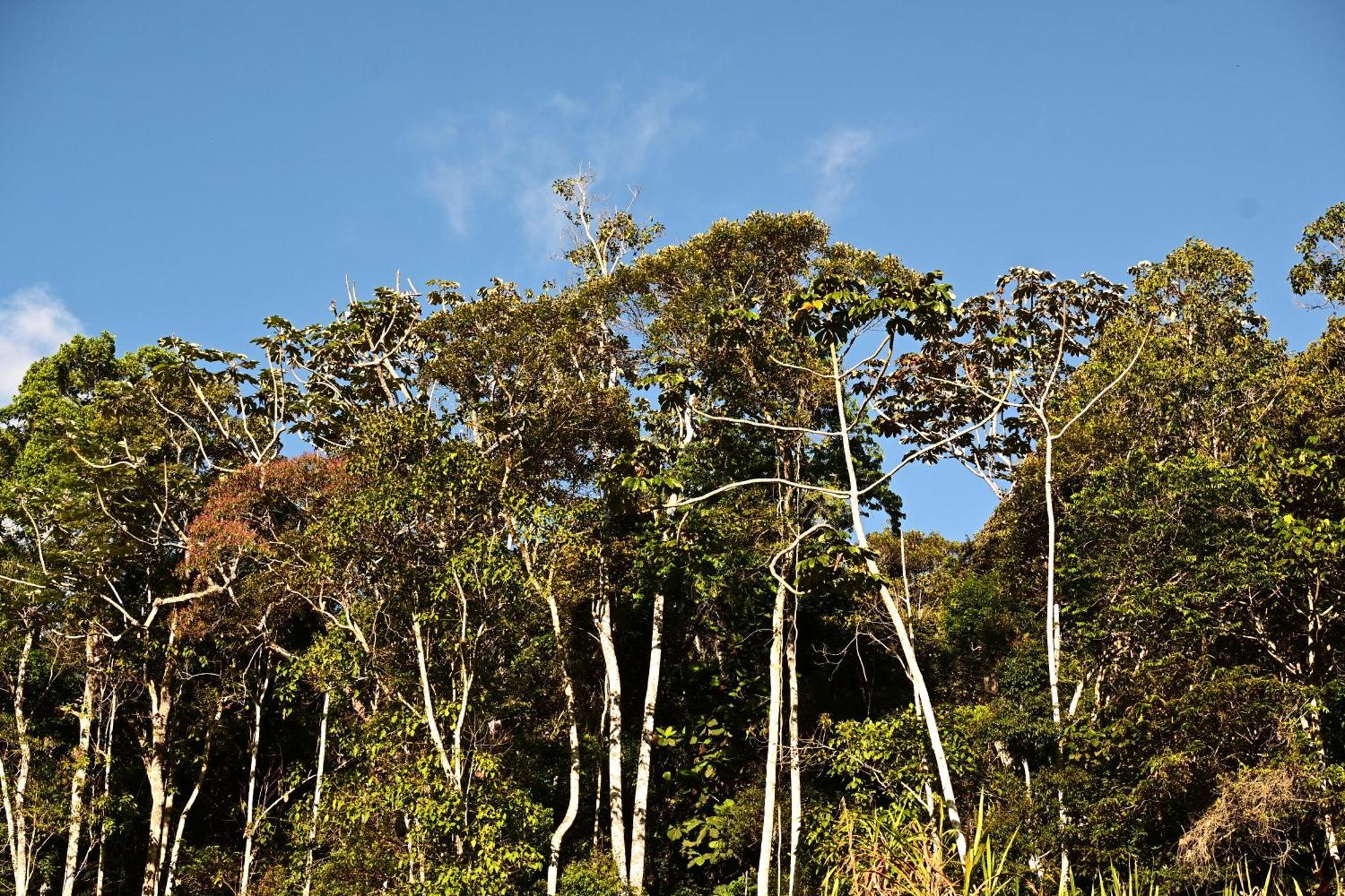 Sitio Terra Sana Panzió Santa Teresa Kültér fotó